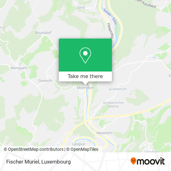 Fischer Muriel map