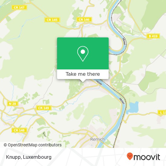Knupp map