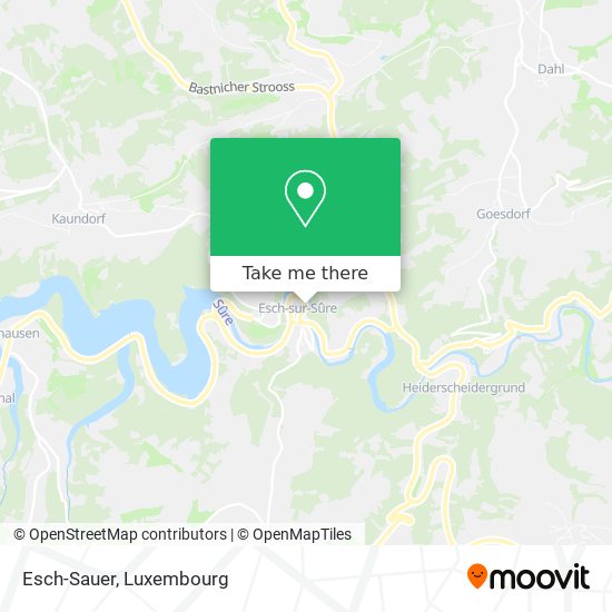 Esch-Sauer map