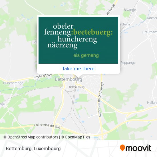 Bettemburg map