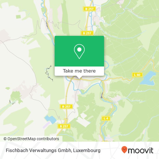 Fischbach Verwaltungs Gmbh map
