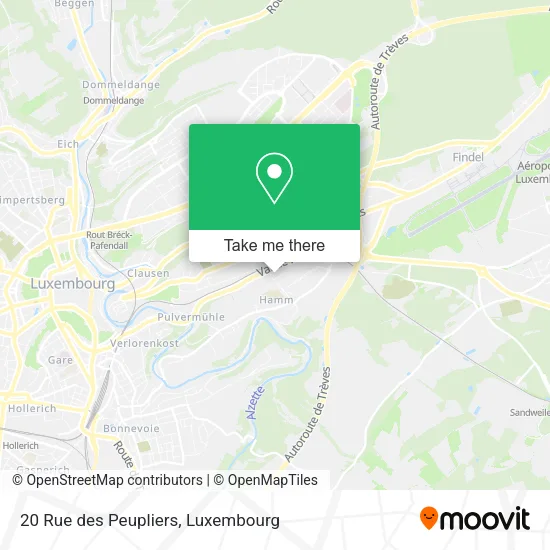 20 Rue des Peupliers map