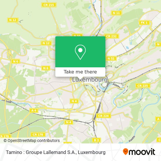 Tamino : Groupe Lallemand S.A. map