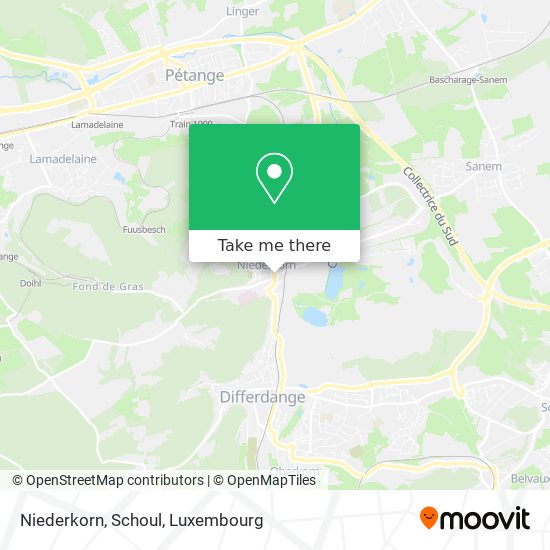 Niederkorn, Schoul map