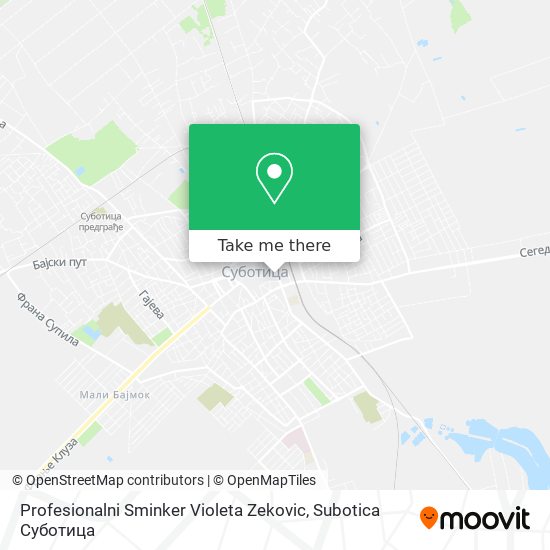 Profesionalni Sminker Violeta Zekovic map