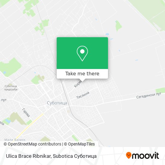 Ulica Brace Ribnikar map