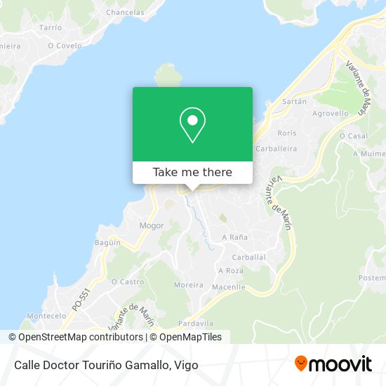 Calle Doctor Touriño Gamallo map