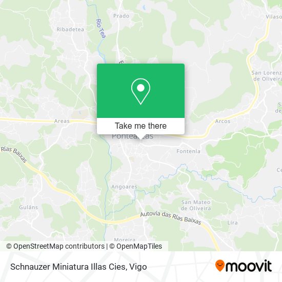 Schnauzer Miniatura Illas Cies map