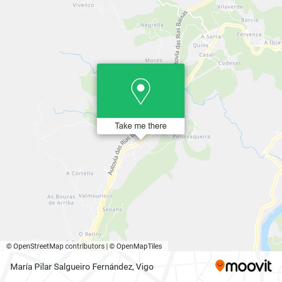 María Pilar Salgueiro Fernández map