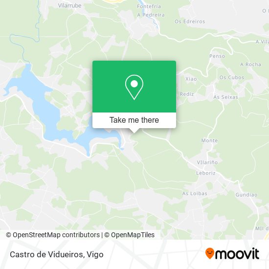 Castro de Vidueiros map