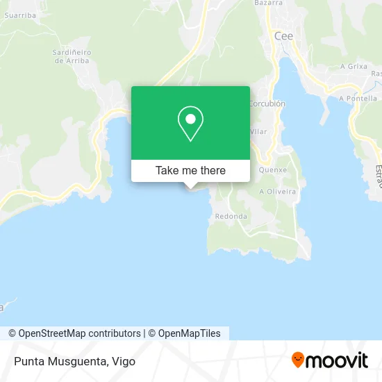 Punta Musguenta map