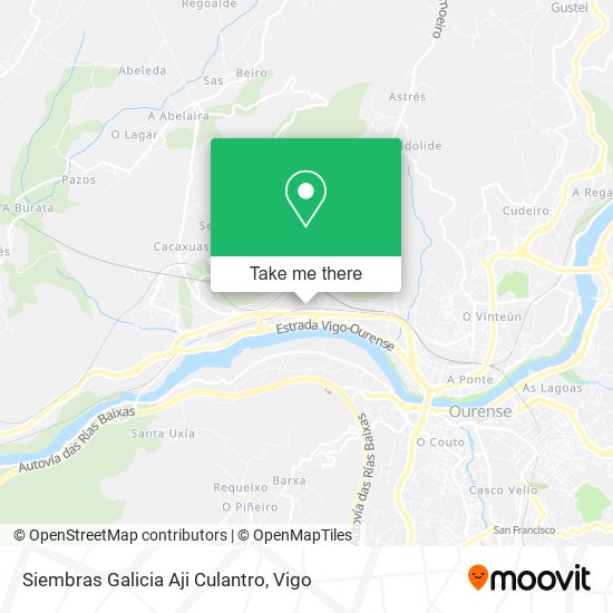 Siembras Galicia Aji Culantro map