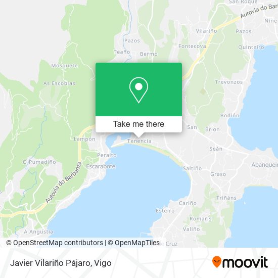 Javier Vilariño Pájaro map