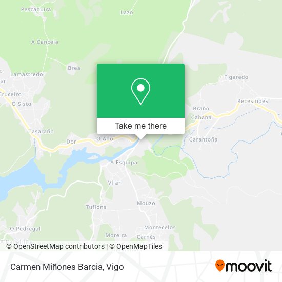 Carmen Miñones Barcia map