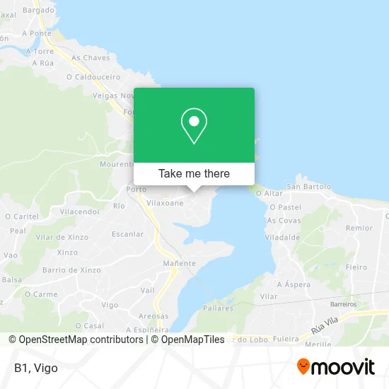 B1 map