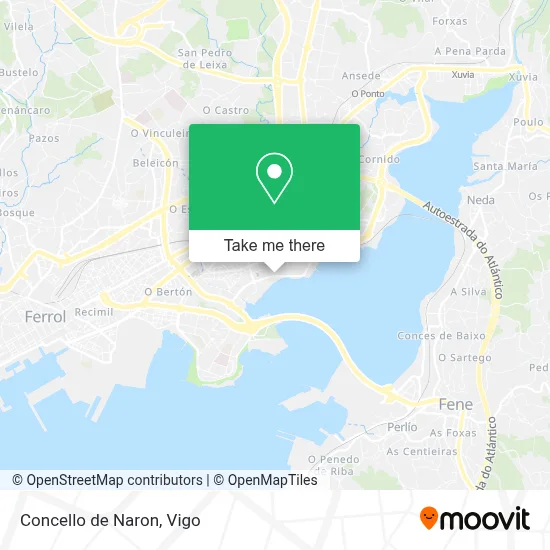 Concello de Naron map