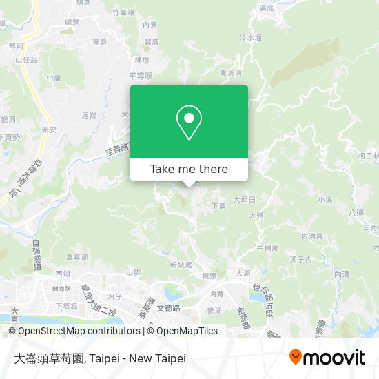 大崙頭草莓園 map