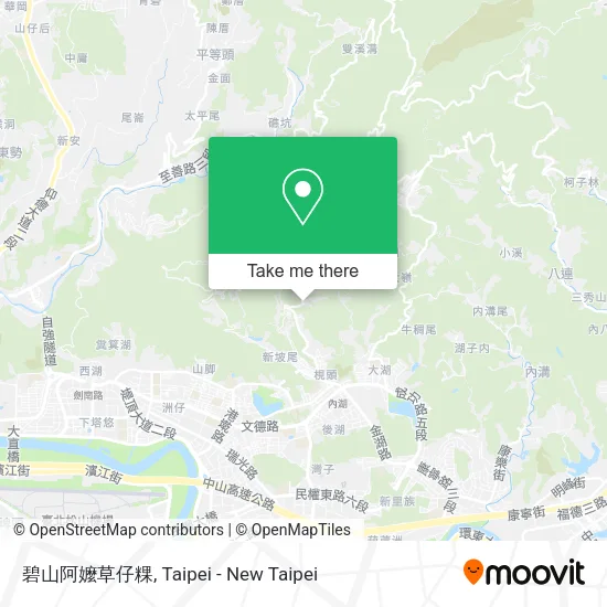 碧山阿嬤草仔粿地圖