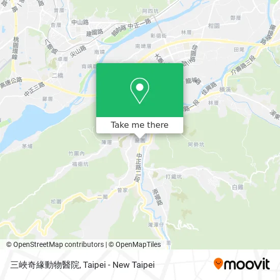 三峽奇緣動物醫院 map