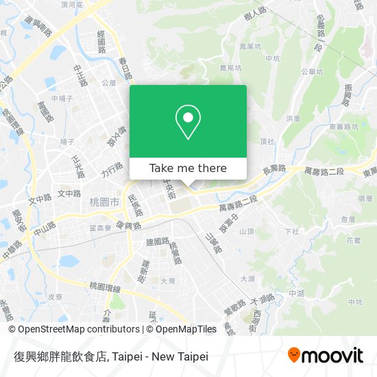 復興鄉胖龍飲食店 map