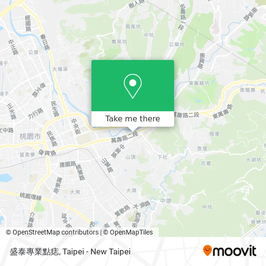 盛泰專業點痣地圖