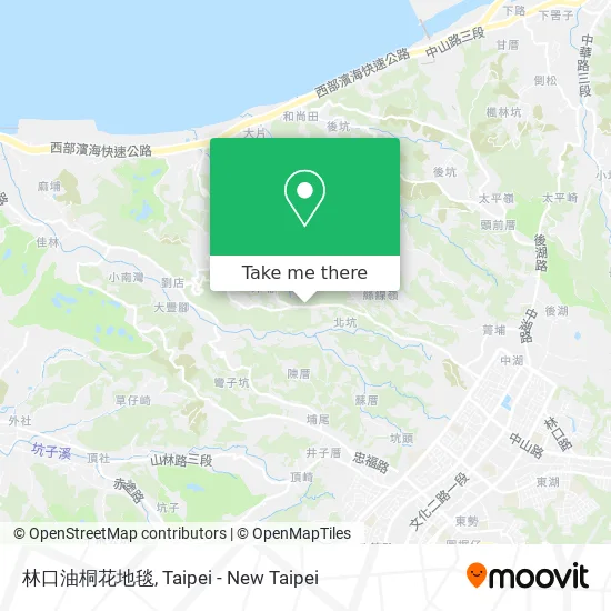 林口油桐花地毯 map