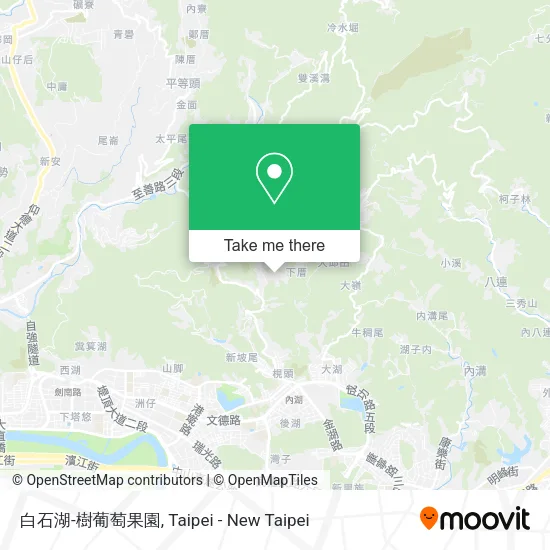白石湖-樹葡萄果園地圖