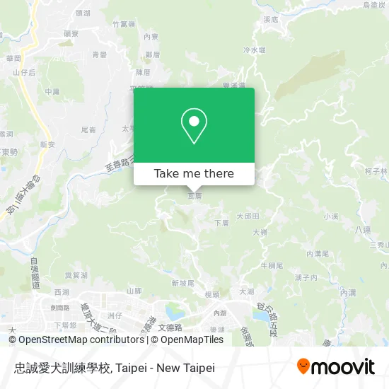 忠誠愛犬訓練學校地圖