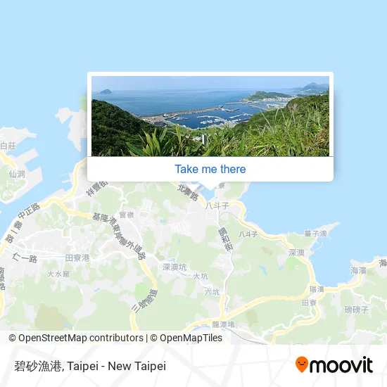 碧砂漁港 map