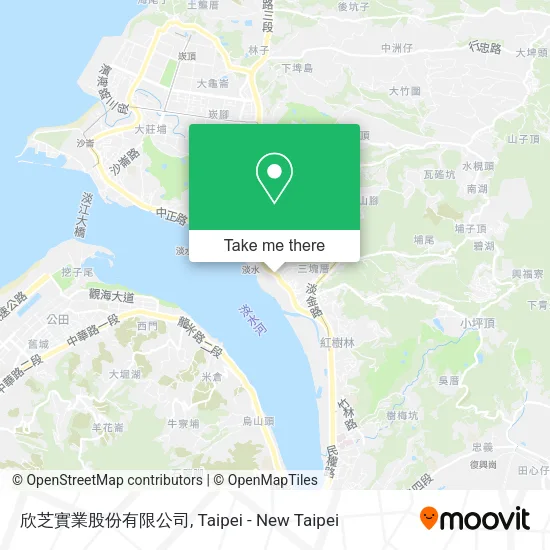 欣芝實業股份有限公司 map