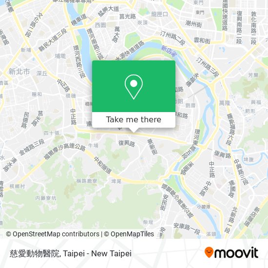 慈愛動物醫院 map