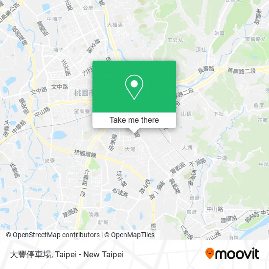 大豐停車場 map