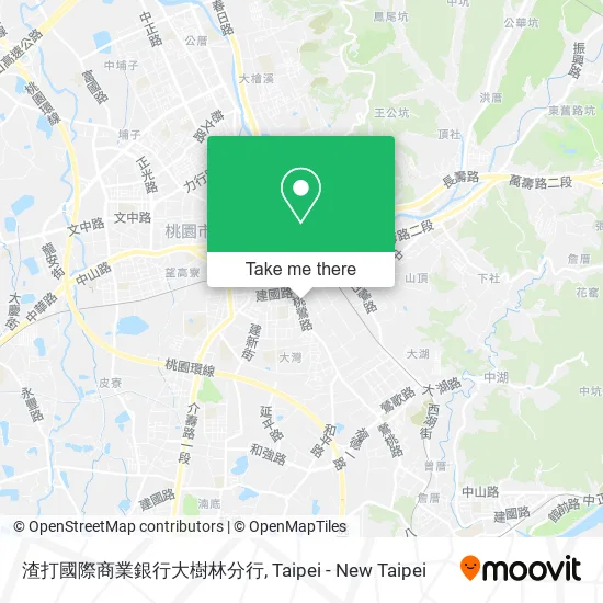 渣打國際商業銀行大樹林分行地圖
