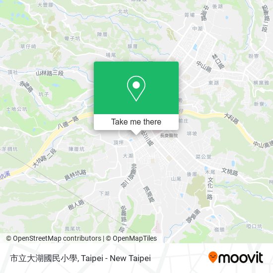 市立大湖國民小學 map