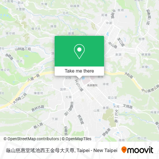 龜山慈惠堂瑤池西王金母大天尊地圖