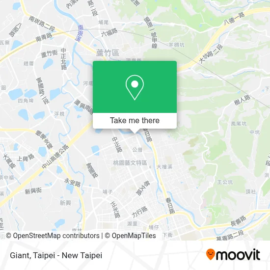 Giant map