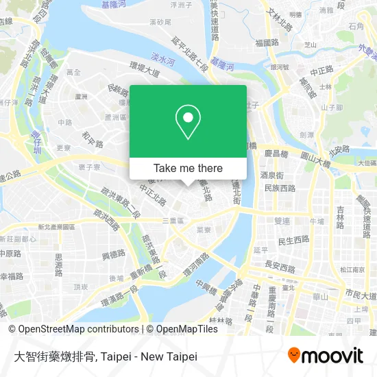 大智街藥燉排骨地圖