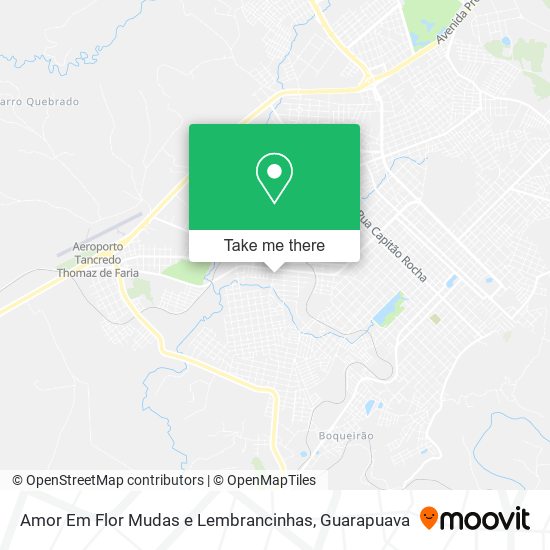 Mapa Amor Em Flor Mudas e Lembrancinhas