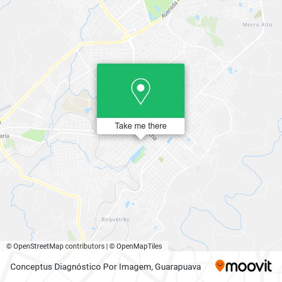 Conceptus Diagnóstico Por Imagem map