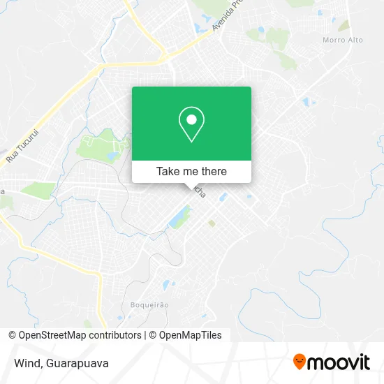 Wind map