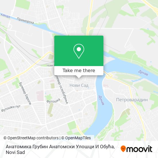 Анатомика Грубин Анатомски Улошци И Обућа map