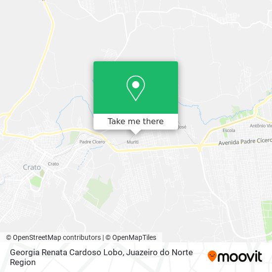 Georgia Renata Cardoso Lobo map