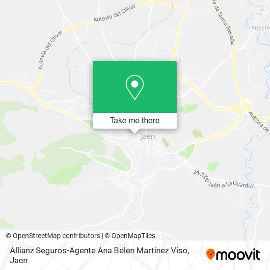 Allianz Seguros-Agente Ana Belen Martínez Viso map