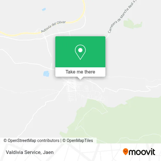Valdivia Service map