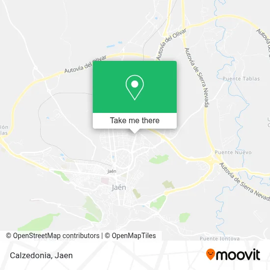 Calzedonia map