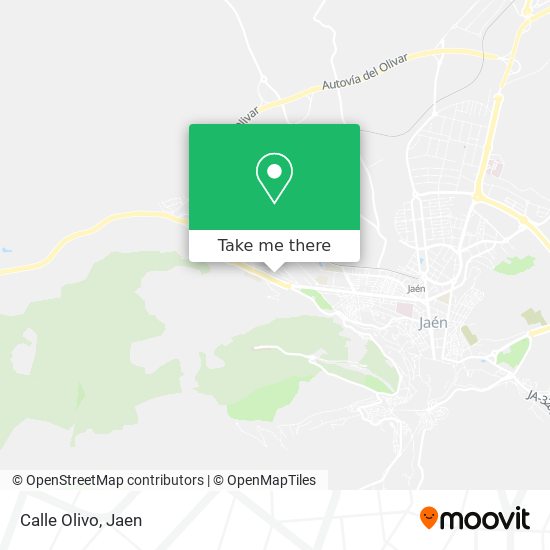 Calle Olivo map