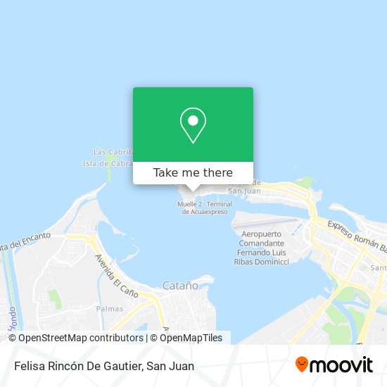 Felisa Rincón De Gautier map