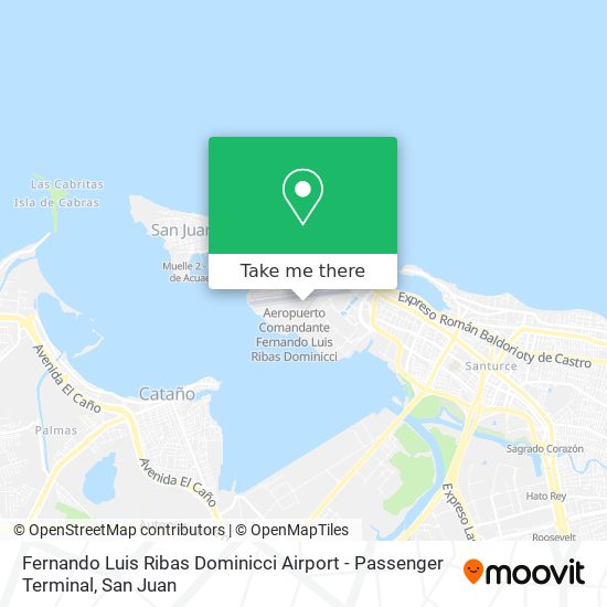 Fernando Luis Ribas Dominicci Airport - Passenger Terminal map