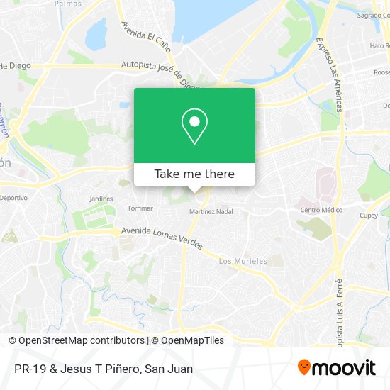 PR-19 & Jesus T Piñero map
