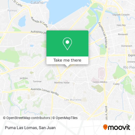 Mapa de Puma Las Lomas